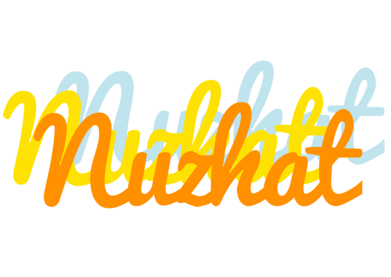 Nuzhat energy logo