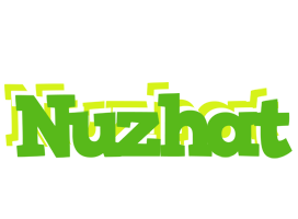 Nuzhat picnic logo