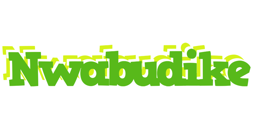 Nwabudike picnic logo