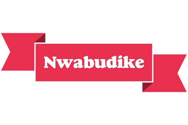 Nwabudike sale logo
