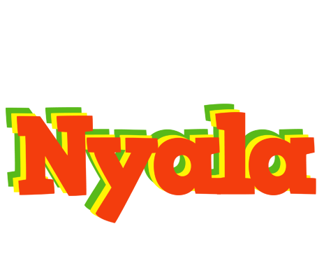 Nyala bbq logo