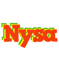 Nysa bbq logo