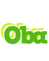 Oba picnic logo