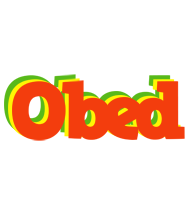 Obed bbq logo