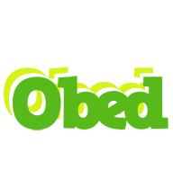 Obed picnic logo