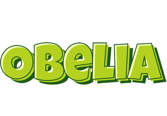Obelia summer logo