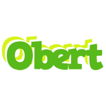 Obert picnic logo