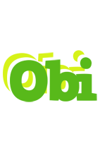 Obi picnic logo