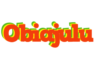 Obiajulu bbq logo