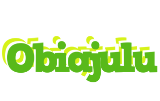 Obiajulu picnic logo