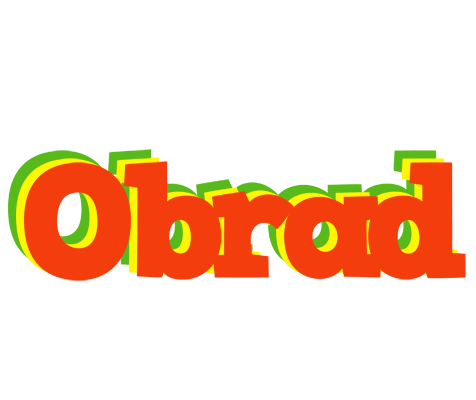 Obrad bbq logo