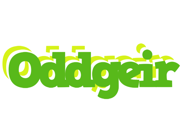 Oddgeir picnic logo