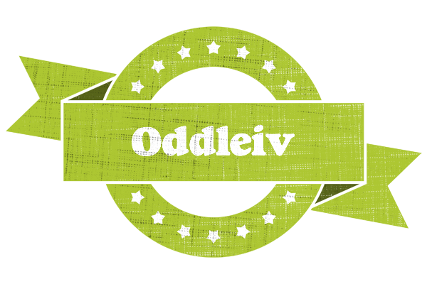 Oddleiv change logo