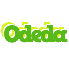 Odeda picnic logo