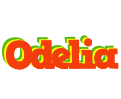 Odelia bbq logo