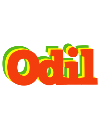 Odil bbq logo