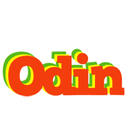 Odin bbq logo