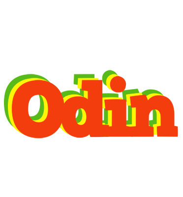 Odin bbq logo