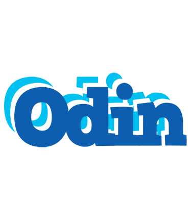 Odin business logo