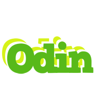 Odin picnic logo
