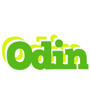 Odin picnic logo