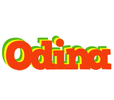 Odina bbq logo