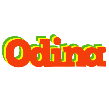 Odina bbq logo