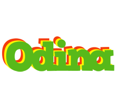 Odina crocodile logo