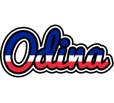 Odina france logo