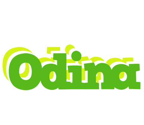 Odina picnic logo