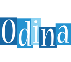 Odina winter logo