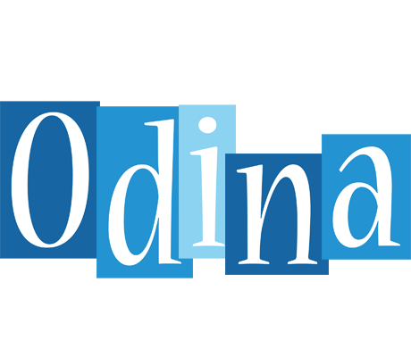Odina winter logo