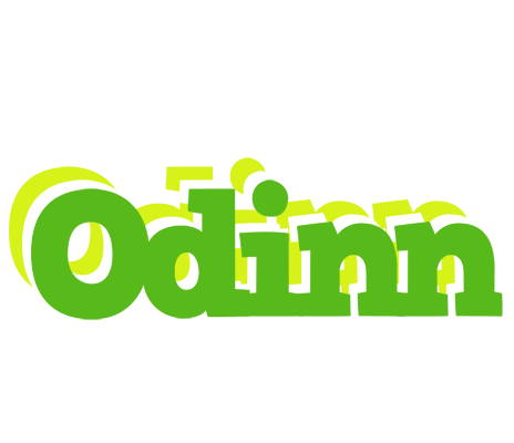 Odinn picnic logo