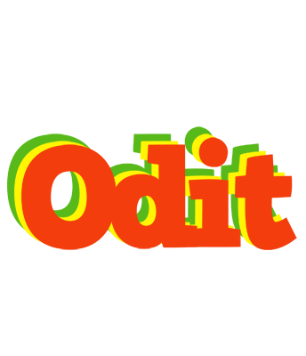 Odit bbq logo