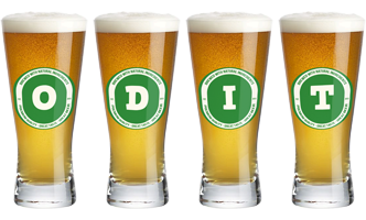 Odit lager logo