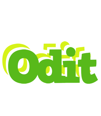 Odit picnic logo