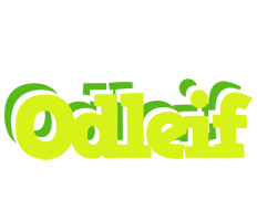 Odleif citrus logo