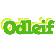 Odleif picnic logo