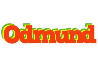 Odmund bbq logo