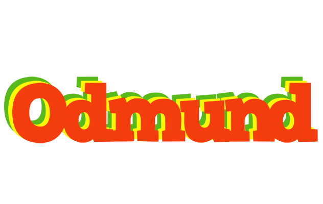 Odmund bbq logo
