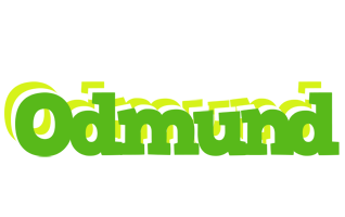 Odmund picnic logo