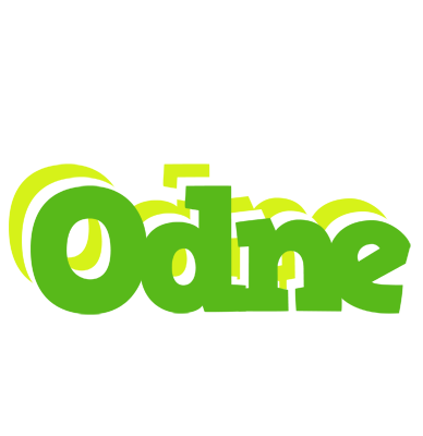Odne picnic logo