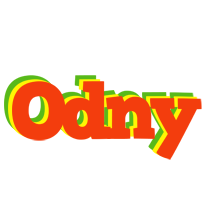 Odny bbq logo