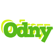 Odny picnic logo