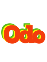 Odo bbq logo