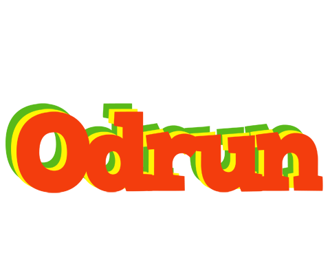 Odrun bbq logo