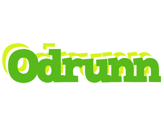Odrunn picnic logo