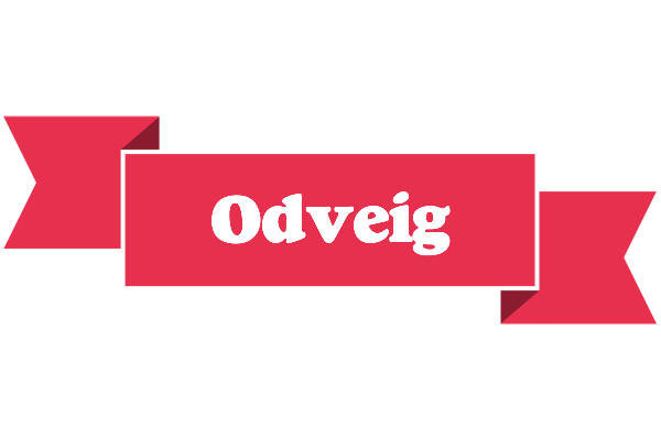 Odveig sale logo