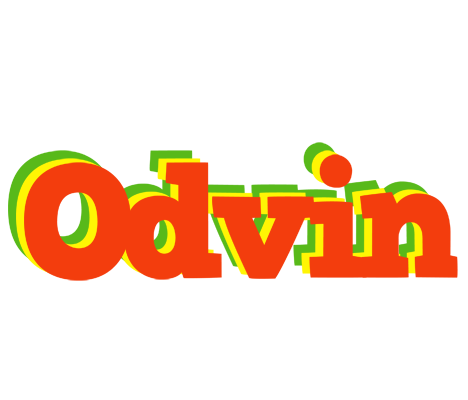 Odvin bbq logo