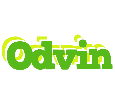 Odvin picnic logo